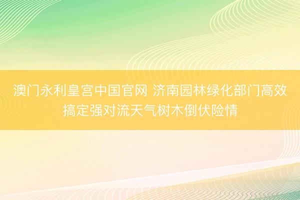 澳门永利皇宫中国官网 济南园林绿化部门高效搞定强对流天气树木倒伏险情