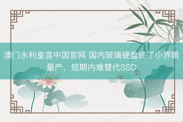 澳门永利皇宫中国官网 国内玻璃硬盘终了小界限量产，短期内难替代SSD