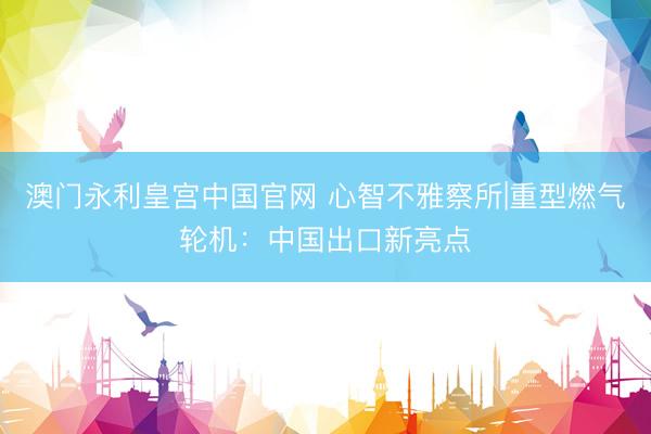澳门永利皇宫中国官网 心智不雅察所|重型燃气轮机：中国出口新亮点