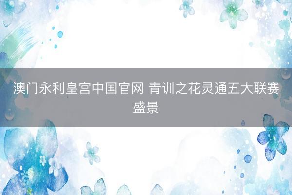 澳门永利皇宫中国官网 青训之花灵通五大联赛盛景